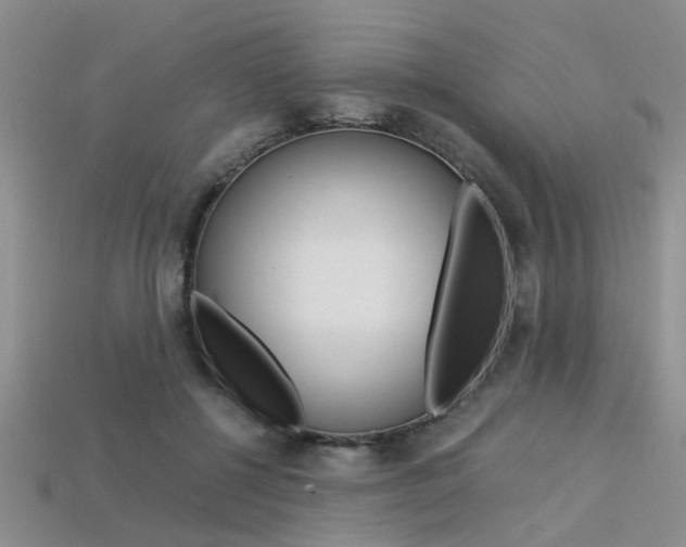 X0000113600552200909181111