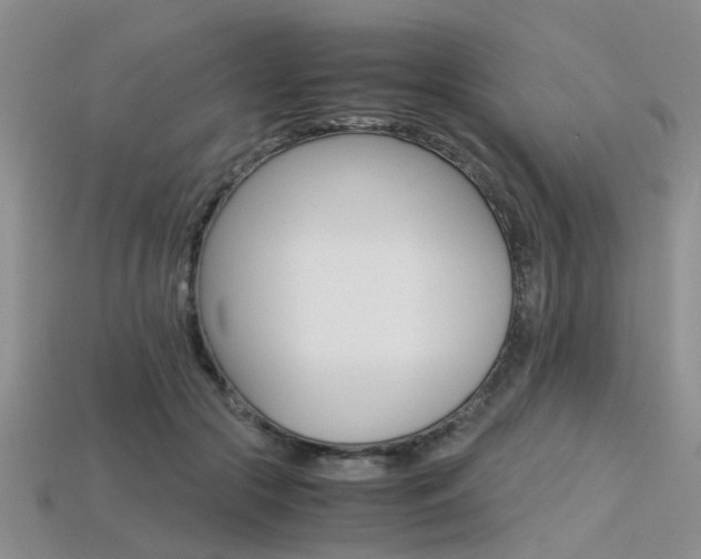 X0000113600553200909181111
