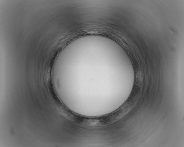 X0000113600554200909181111