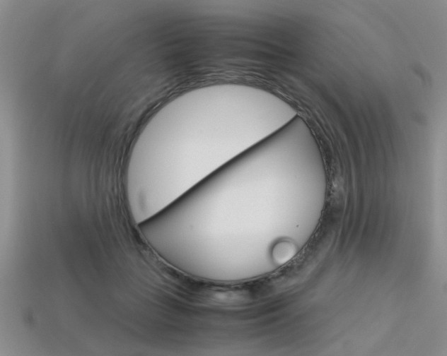 X0000113600555200909181111