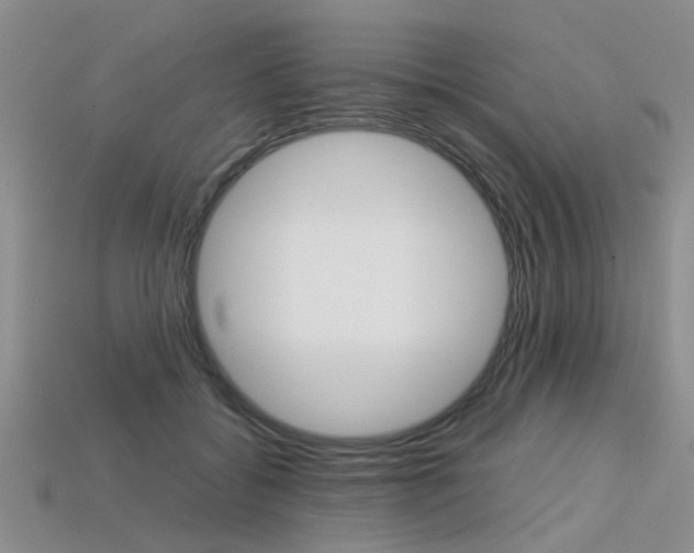 X0000113600556200909181111