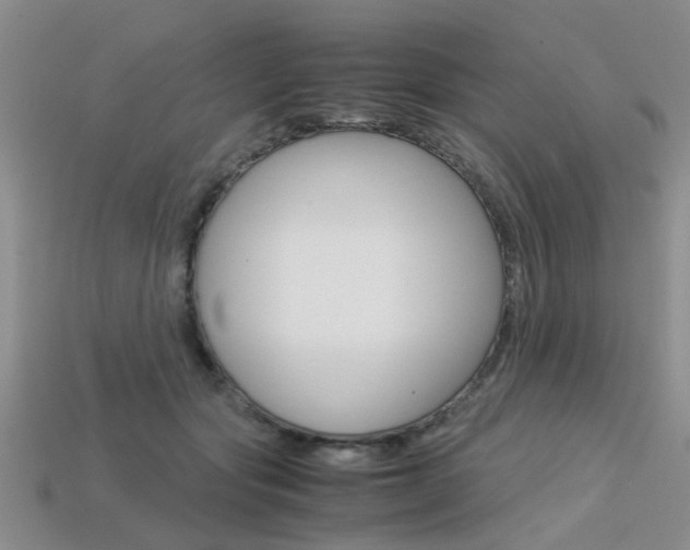 X0000113600557200909181111