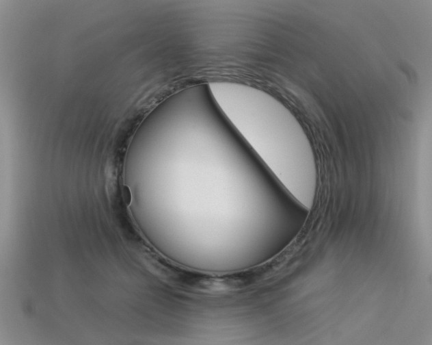 X0000113600558200909181111