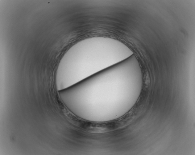 X0000113600559200909181111