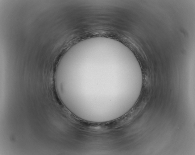 X0000113600561200909181111