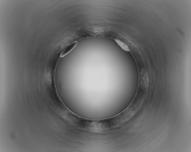 X0000113600562200909181111