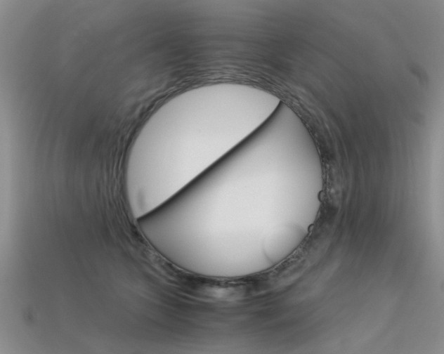 X0000113600563200909181111