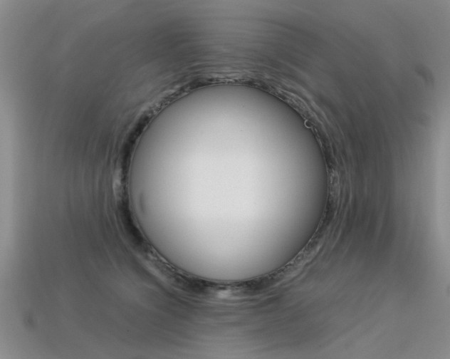 X0000113600564200909181111