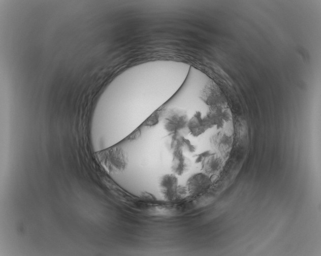 X0000113600565200909181111