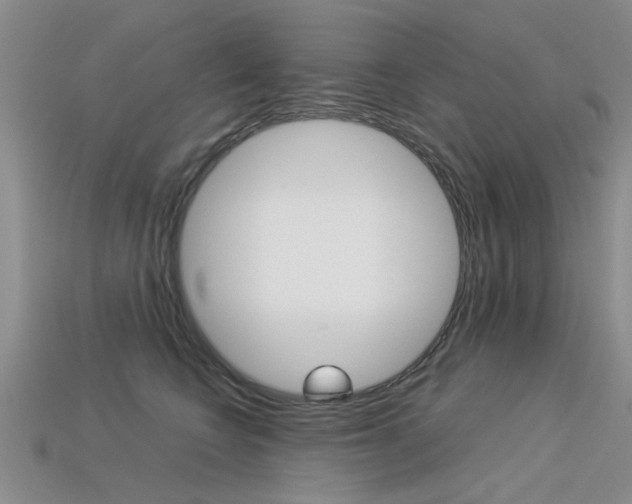 X0000113600566200909181111