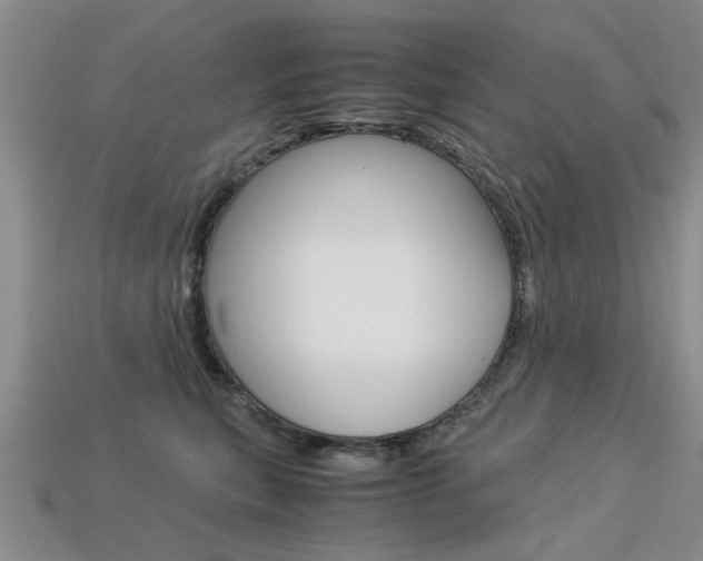 X0000113600567200909181111