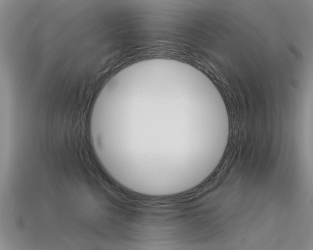 X0000113600568200909181111