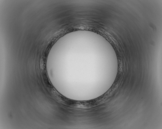 X0000113600569200909181111