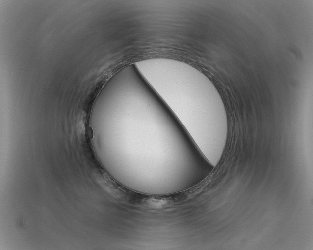 X0000113600570200909181112