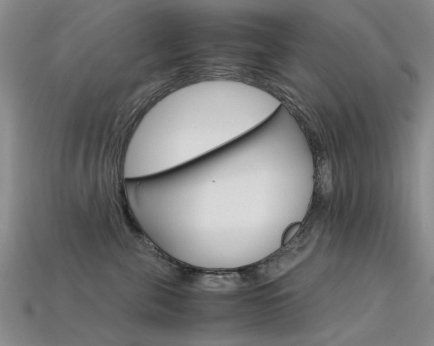 X0000113600571200909181112