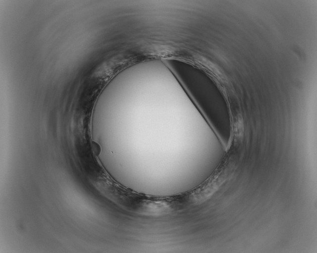 X0000113600572200909181112