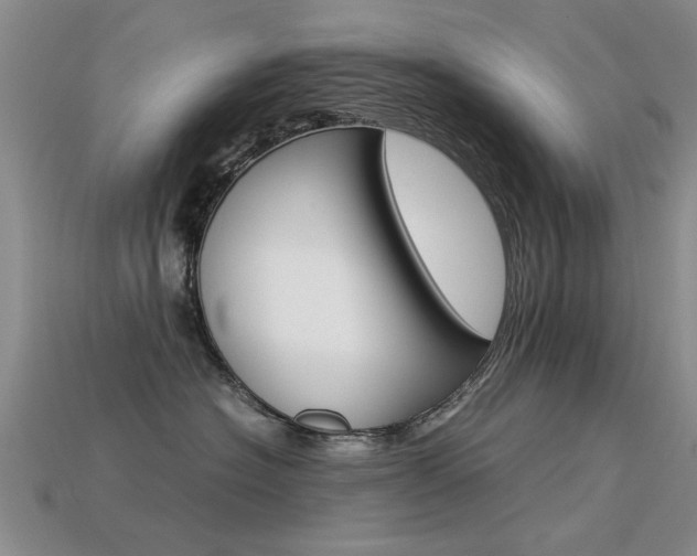 X0000113600574200909181112