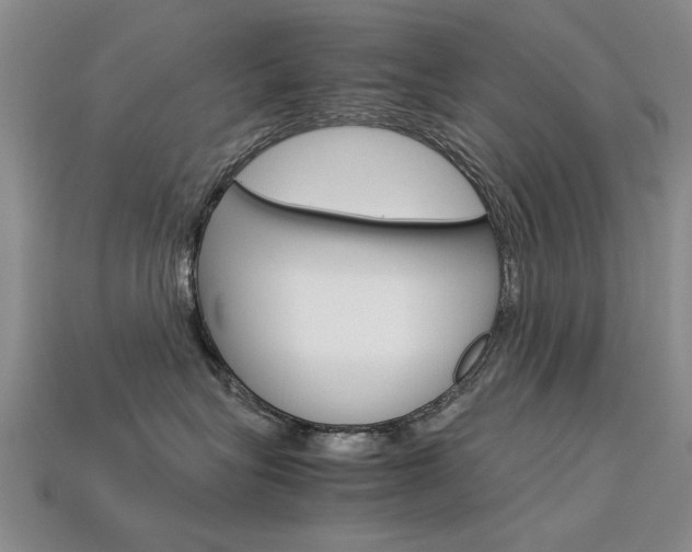 X0000113600575200909181112