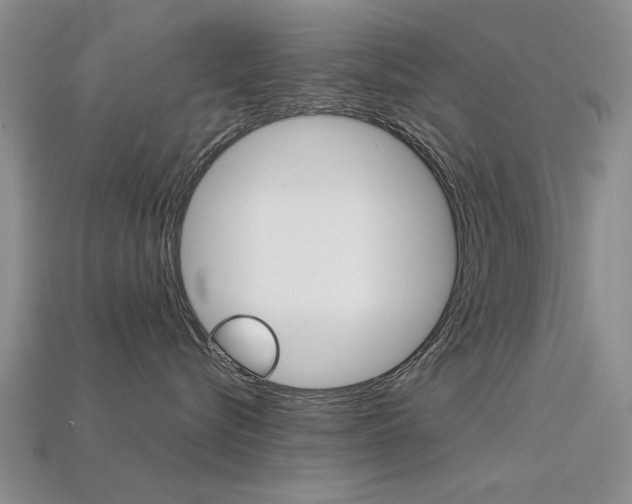 X0000113600576200909181112