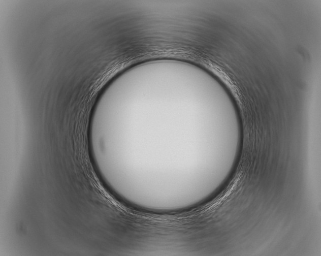 X0000113600577200909181111