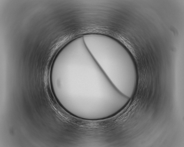 X0000113600578200909181111