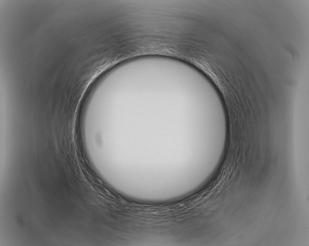 X0000113600579200909181111
