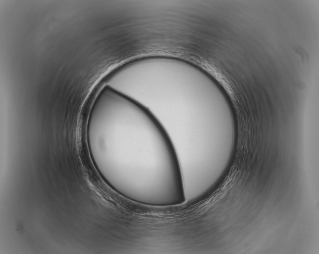 X0000113600580200909181111