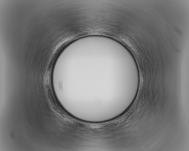 X0000113600583200909181111