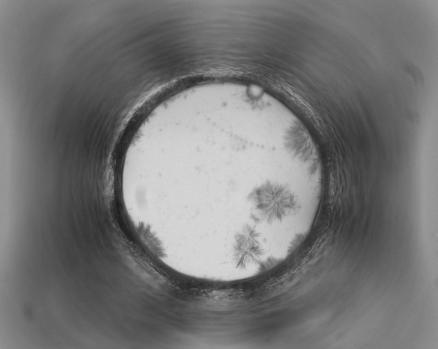 X0000113600584200909181111