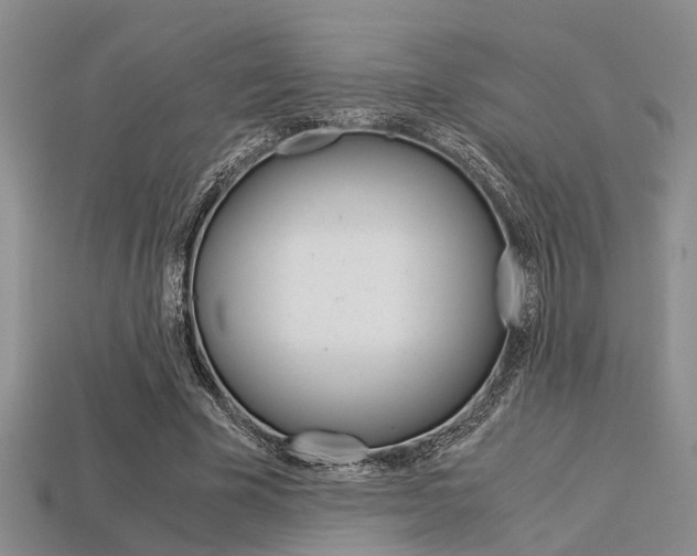 X0000113600585200909181111