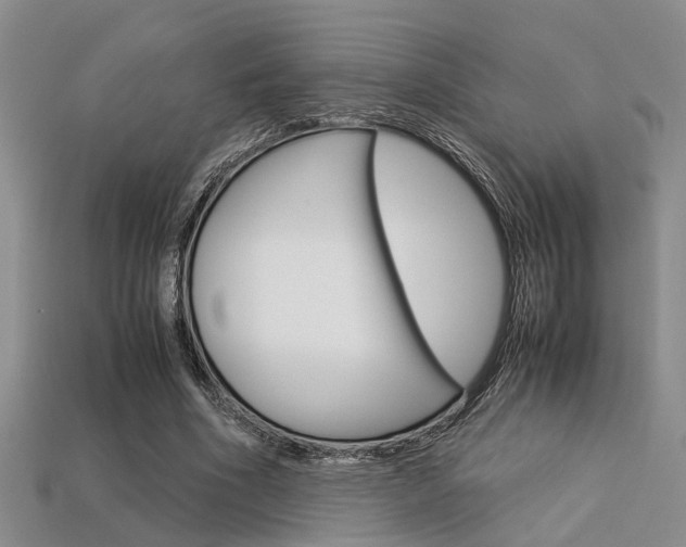 X0000113600586200909181111