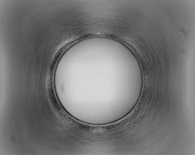 X0000113600587200909181111