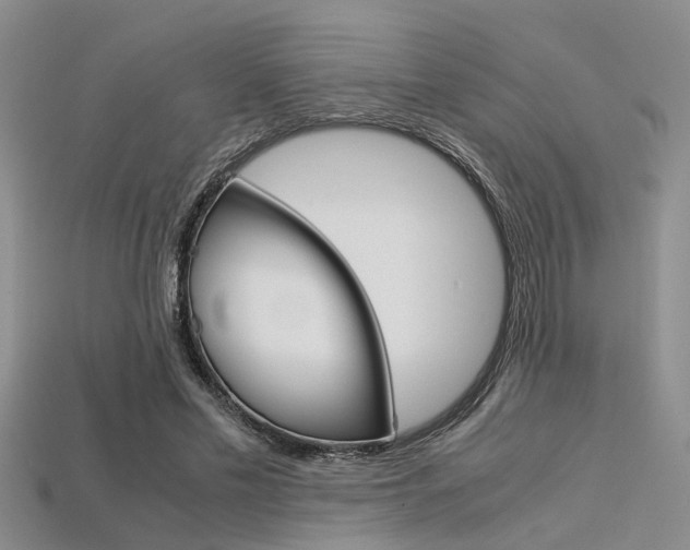 X0000113600589200909181111