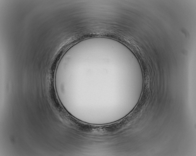 X0000113600591200909181111