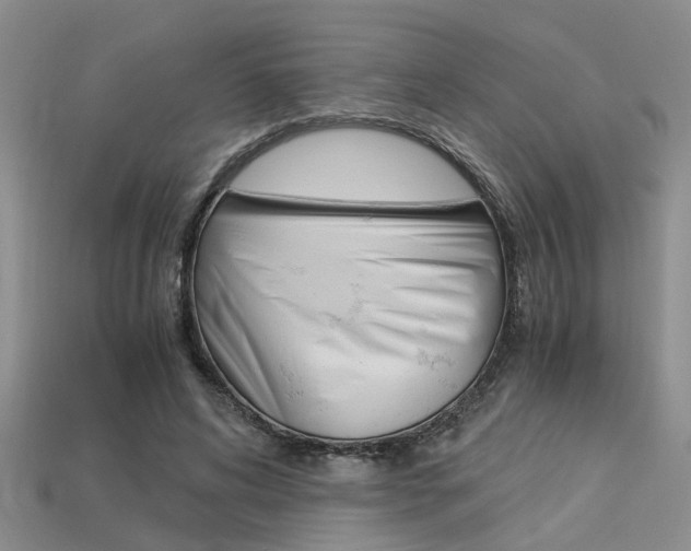 X0000113600592200909181111