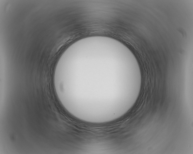 X0000113600595200909181111