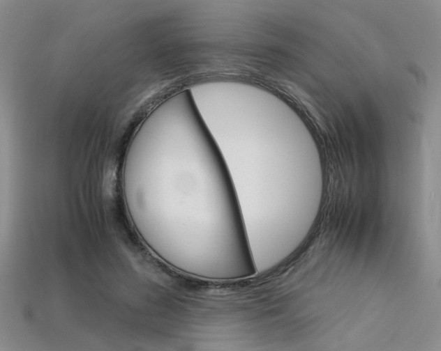 X0000113600596200909181111