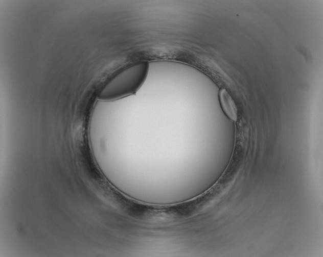 X0000113600597200909181111