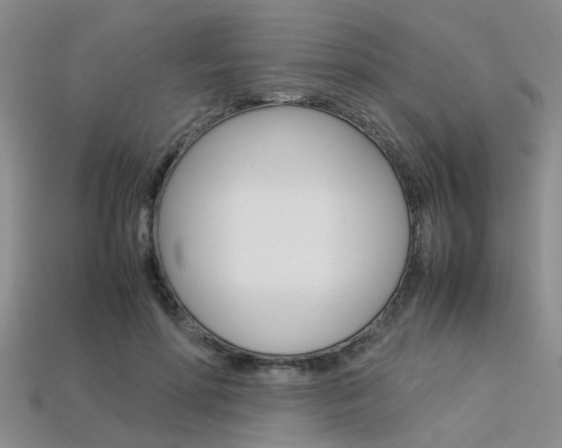 X0000113600598200909181111