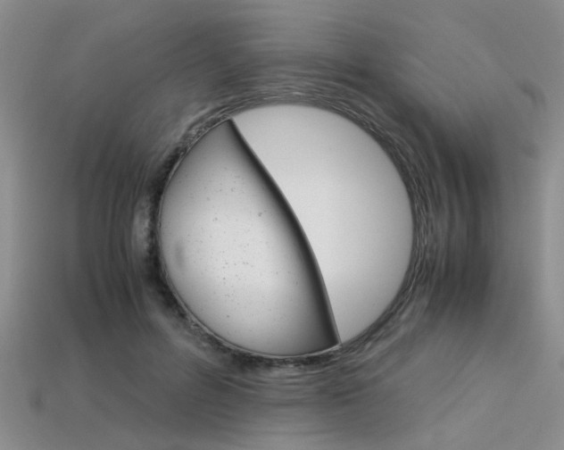 X0000113600600200909181110