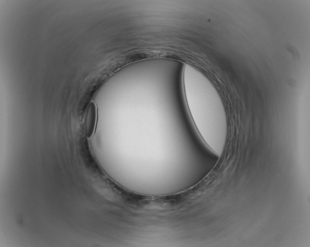X0000113600601200909181110