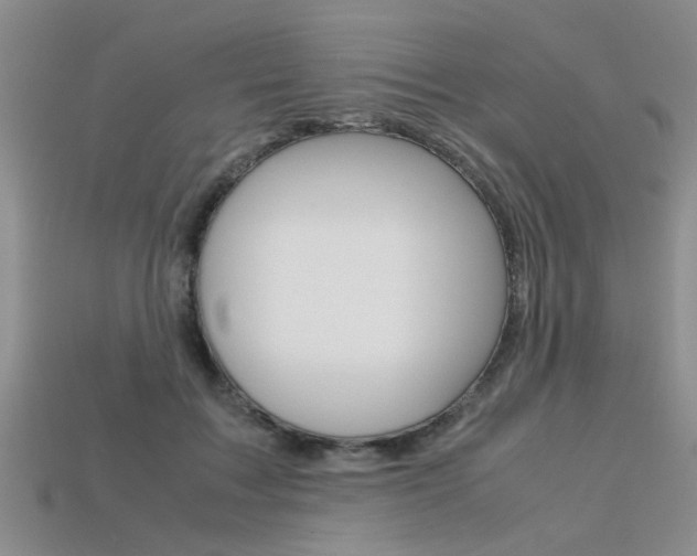 X0000113600603200909181110