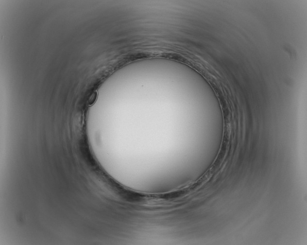 X0000113600605200909181110