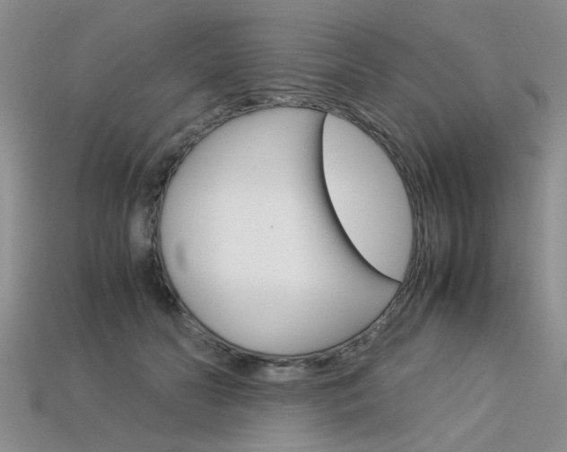 X0000113600606200909181110