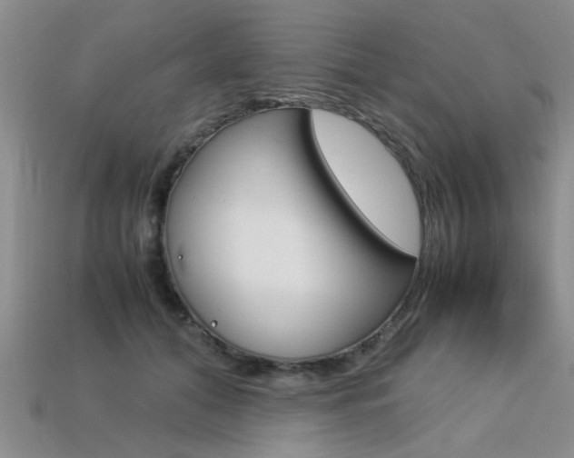 X0000113600608200909181110