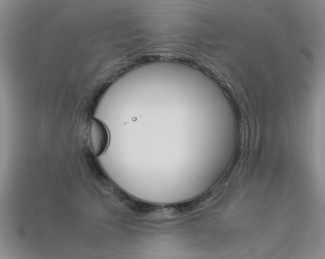 X0000113600609200909181110
