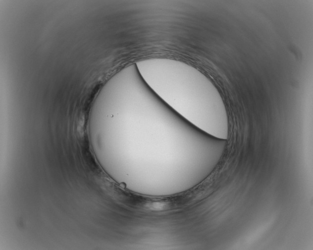 X0000113600610200909181110