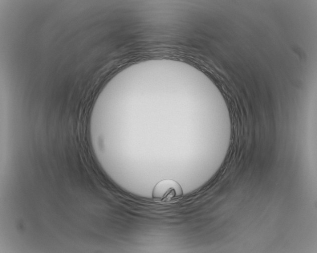 X0000113600611200909181110