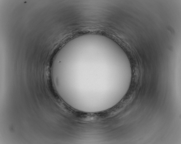 X0000113600612200909181110