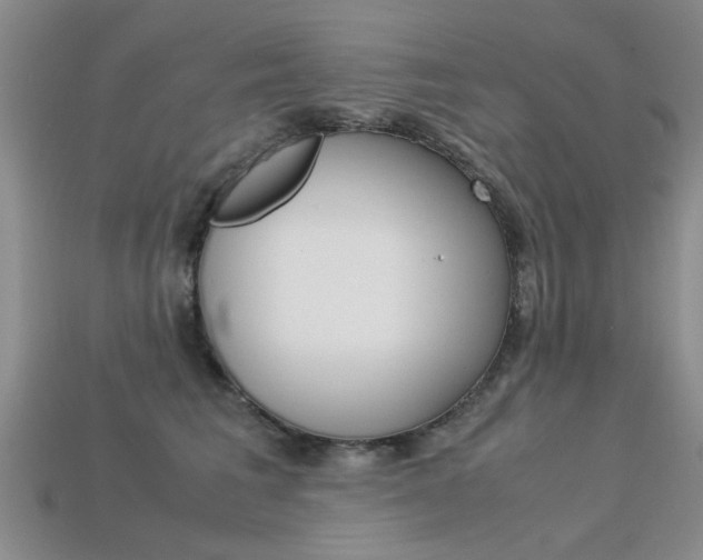 X0000113600613200909181110